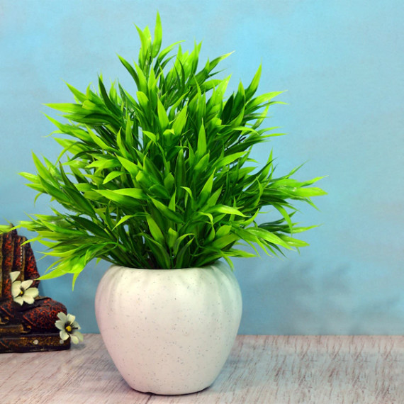 https://dailysales.in/vi/products/green-white-artificial-bamboo-leaves-in-apple-pot