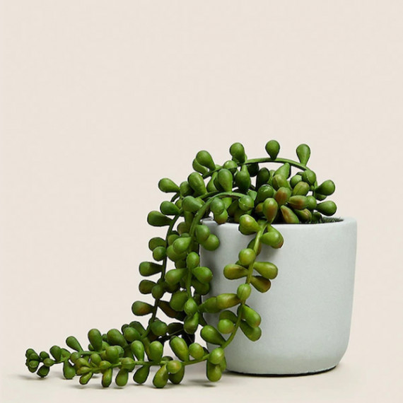 https://dailysales.in/products/green-artificial-plant-with-pot