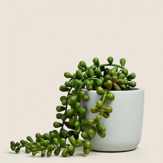 https://dailysales.in/vi/products/green-artificial-plant-with-pot